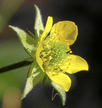 gara-2015-09-08-Noticia