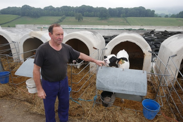 Ramon Astiz, txahal batekin Arruitzen. (Gotzon ARANBURU)