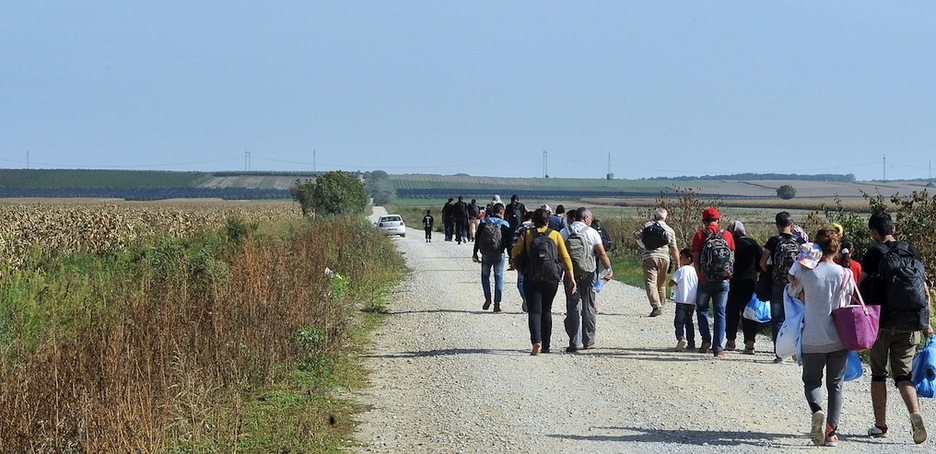 Refugiados se dirigen a la frontera croata tras el cierre de la muga húngara. (Elvis BARUKCIC / AFP)