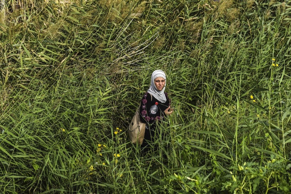 Una mujer en los campos que rodean la frontera húngara. (Armend NIMANI / AFP)
