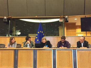 Jornadas sobre memoria histórica en el Parlamento Europeo. (@IUEuropa)