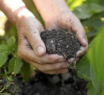 gara-2015-09-29-Noticia