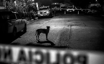 gara-2015-09-29-Reportaje