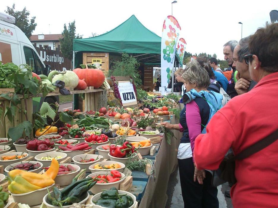 Gipuzkoako baratze parkeetako uzta (Maider IANTZI)