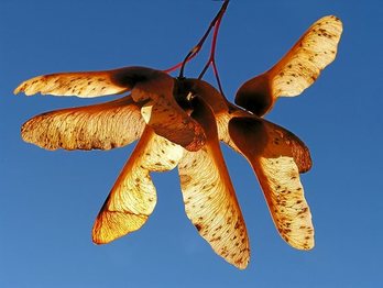 gara-2015-10-06-Noticia