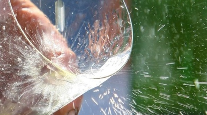 La sidra es beneficiosa para la salud, según un estudio de la UPV.