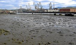 gara-2015-10-07-Reportaje