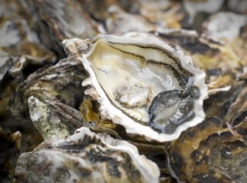 gara-2015-10-20-Reportaje