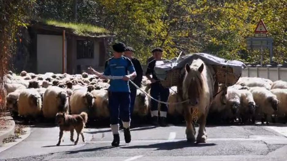 20151023_zegama_buru