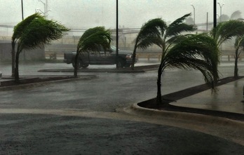 Manzanillo hiria, Colima estatuan, ‘Patricia’ urakanak jo duenetako bat. (Jonathan LEVINSON) 