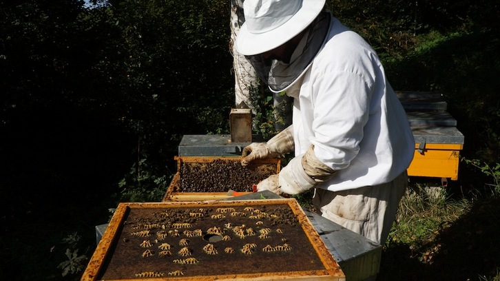 Aitor Otegi, lanean. (Gotzon ARANBURU)