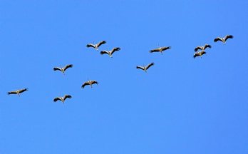 gara-2015-10-28-Reportaje