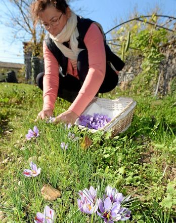 gara-2015-11-03-Reportaje