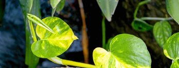 gara-2015-11-17-Noticia