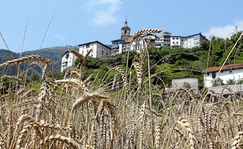 Argazkia: IRURE TXIKI BASERRIA