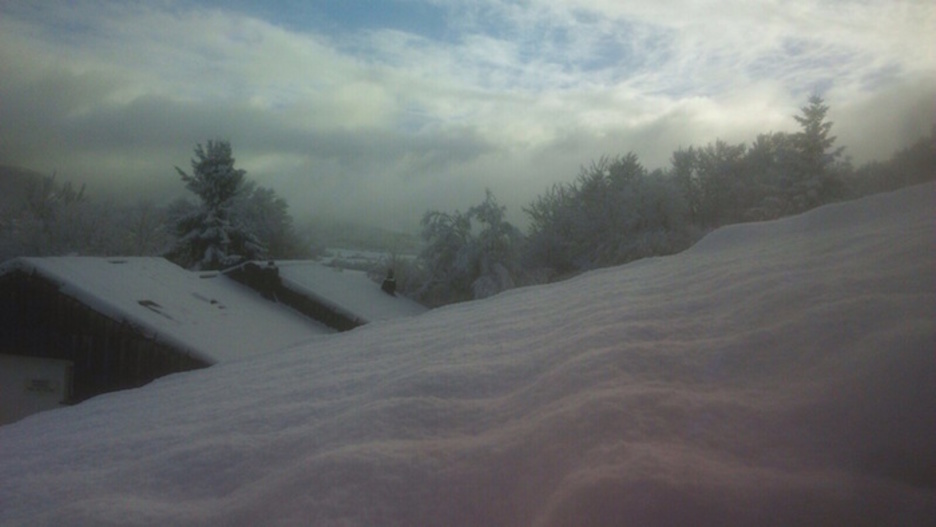 Aurizberrin elurrak estalita esnatu dira (Andoni LARZABAL)