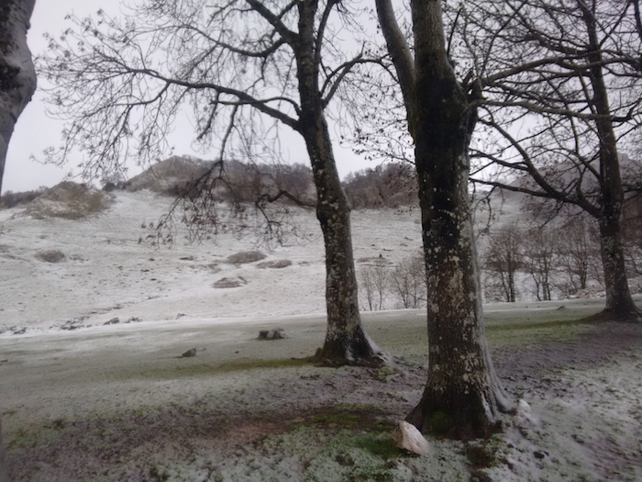 Beheraxeago ere, Urbian lehen mantu zuriaren zantzuak atzo. (Enaitz)