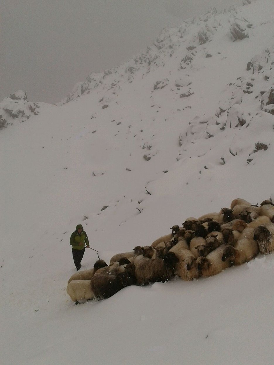 Artaldea Arrabako pentze elurtuetan. (@goikodeustu)