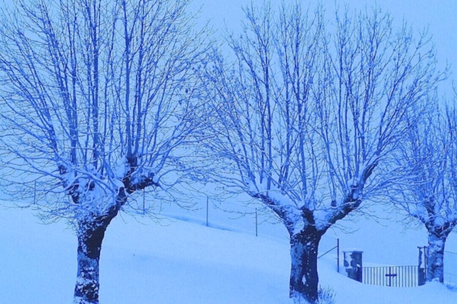 Goizane Oskozek paisaia elurtsu honen irudia bidali digu. 