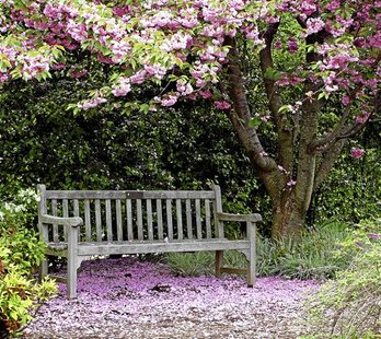 gara-2015-12-01-Noticia