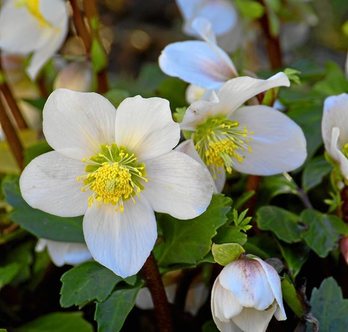 gara-2015-12-09-Noticia