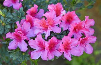 gara-2015-12-21-Noticia