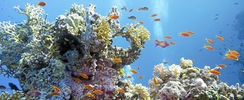 gara-2015-12-23-Noticia