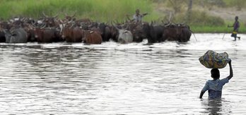 gara-2015-12-23-Reportaje