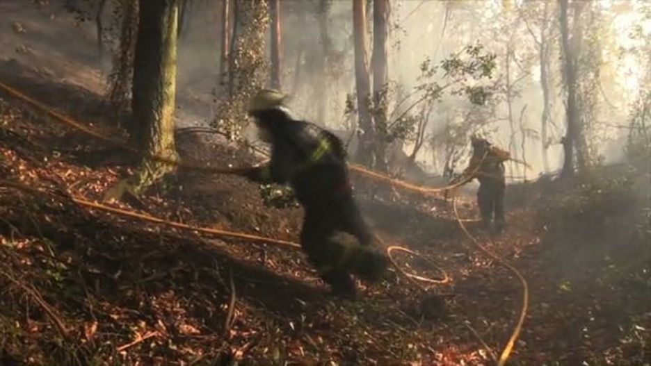 20151228_sutea_berango-sopela