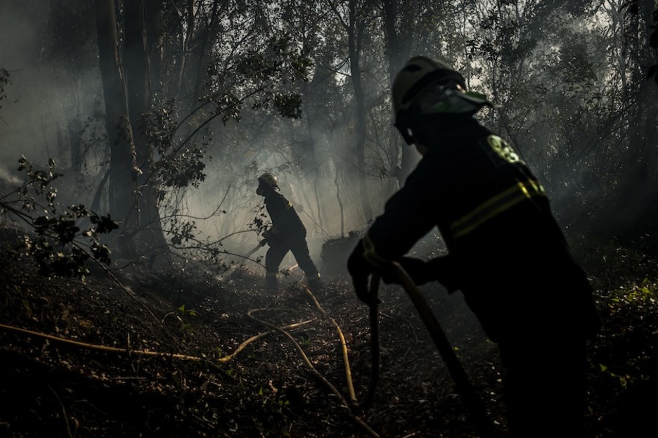Los bomberos se internan entre la arboleada. (Andoni LUBAKI / ARGAZKI PRESS)
