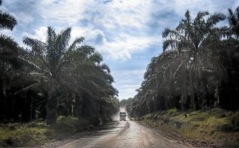 gara-2016-01-04-Reportaje