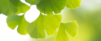 gara-2016-01-12-Noticia