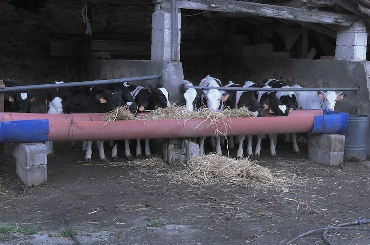Iñaki Zuriarrainen baserria, Orendainen. (Gotzon ARANBURU)