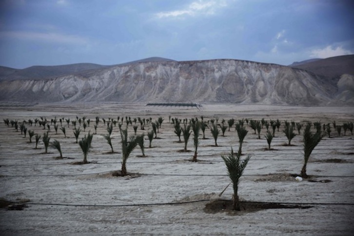Israel ha declarado 154 hectáreas al sur de la ciudad palestina de Jericó como terrenos del Estado hebreo. (Menahem KAHANA/AFP)