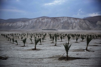 Israel ha declarado 154 hectáreas al sur de la ciudad palestina de Jericó como terrenos del Estado hebreo. (Menahem KAHANA/AFP)