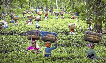 gara-2016-01-22-Reportaje