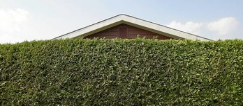 gara-2016-01-26-Noticia