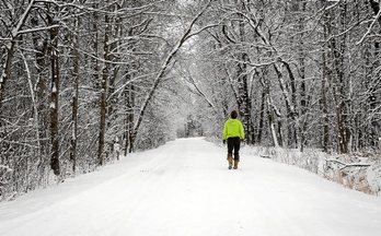 gara-2016-01-26-Reportaje