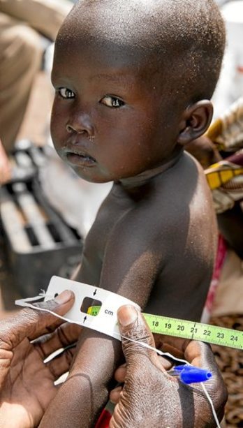 gara-2016-01-28-Reportaje