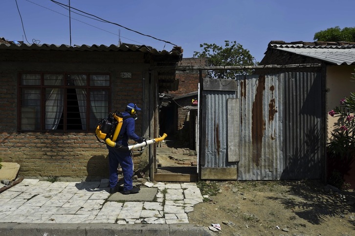 Trabajos de desinfección contra el zika en Cali. (Luis ROBAYO / AFP)