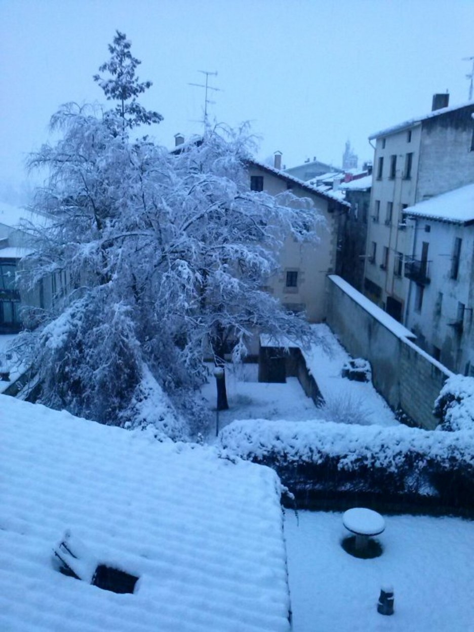 Agurainen gogotik bota du elurra. (@euskalmet)