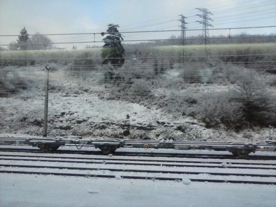 Sakana ere zurituta esnatu da. Hemen Altsasuko tren geltokian. (@manexaltuna)