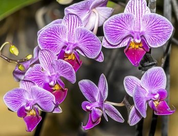 gara-2016-02-16-Noticia