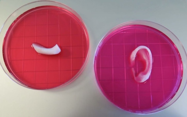 Imagen de algunas estructuras desarrolladas gracias a la impresora 3D. (Wake Forest Institute for Regenerative Medicine)