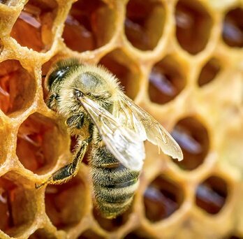 gara-2016-03-15-Noticia