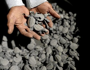 gara-2016-03-15-Reportaje