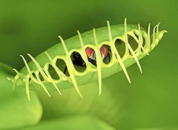 gara-2016-03-21-Noticia