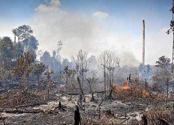 gara-2016-03-29-Reportaje