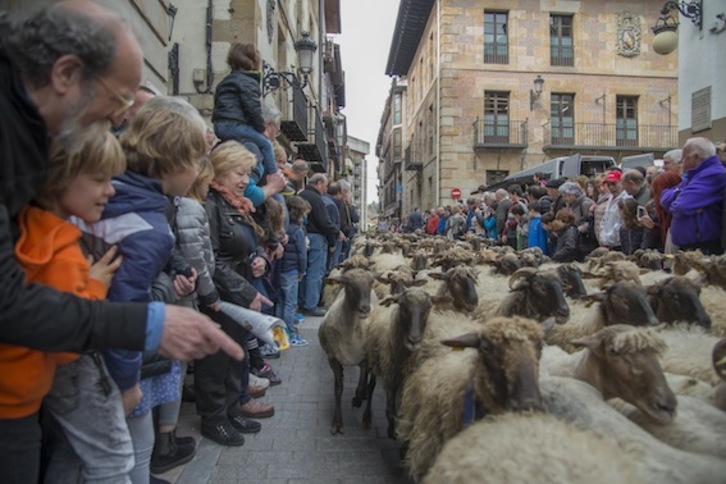 Más de 2.000 ovejas han atravesado el casco histórico de Ordizia. (Andoni CANELLADA/ARGAZKI PRESS)