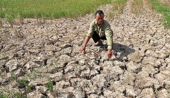 gara-2016-04-14-Reportaje